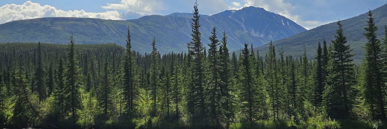 Conny Rottensteiner, MSc BA banner