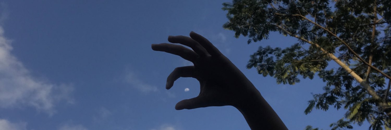 evesevies's profile banner image