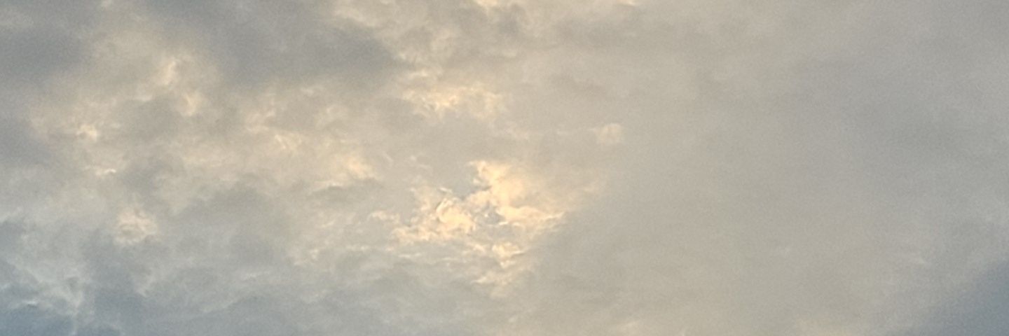 M3aLee's profile banner image