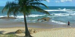 paulaamuller's profile banner image