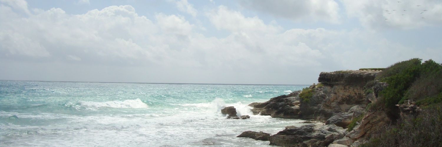 Acramosd1's profile banner image