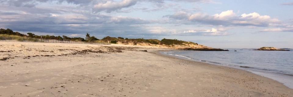 Nancy Franson banner