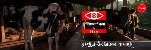 cbidhya Profile Banner
