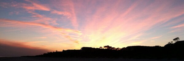 lebrooks517 Profile Banner