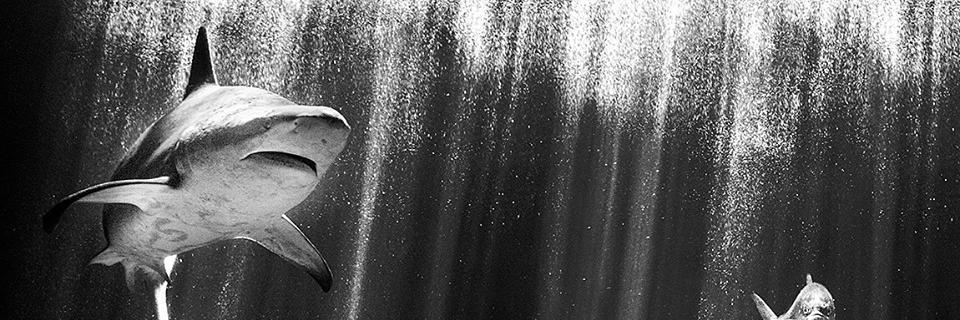 PAINCAVE2000's profile banner image