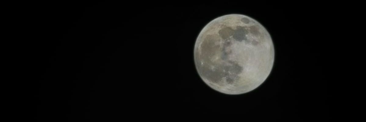 MUSHARI ALJULAIFI banner