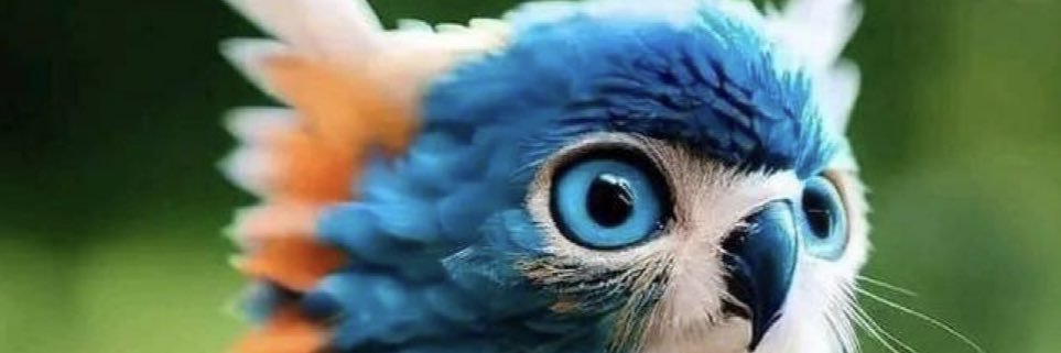 Werries85's profile banner image