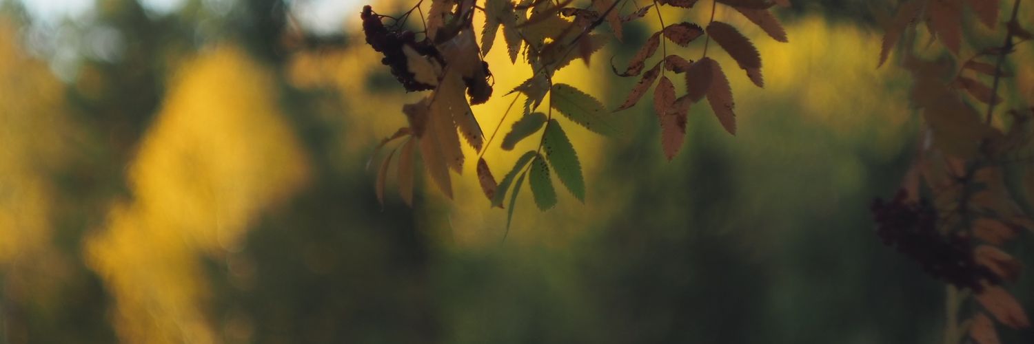 aporycra's profile banner image