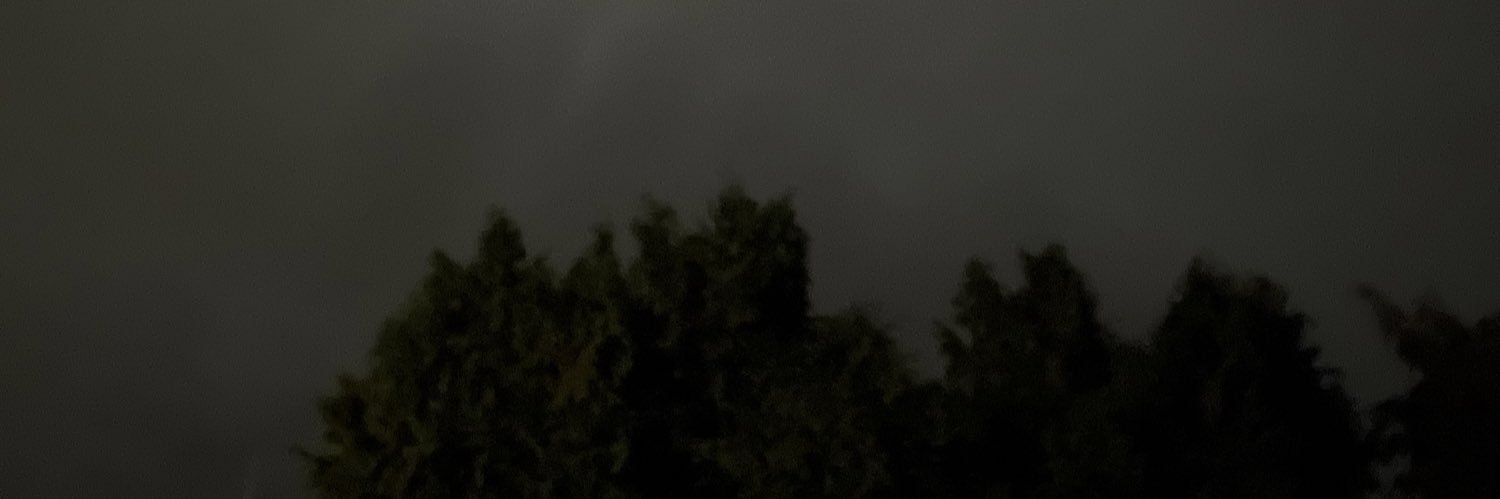 LifeIsAPerk1's profile banner image