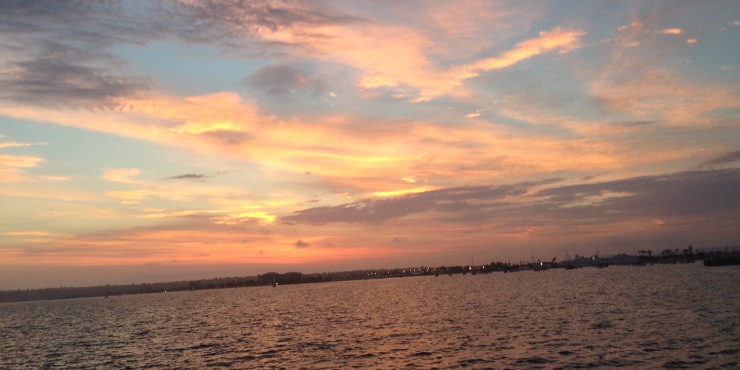 Amanda Hackler-Roy banner