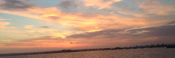 AmandaEllis391 Profile Banner