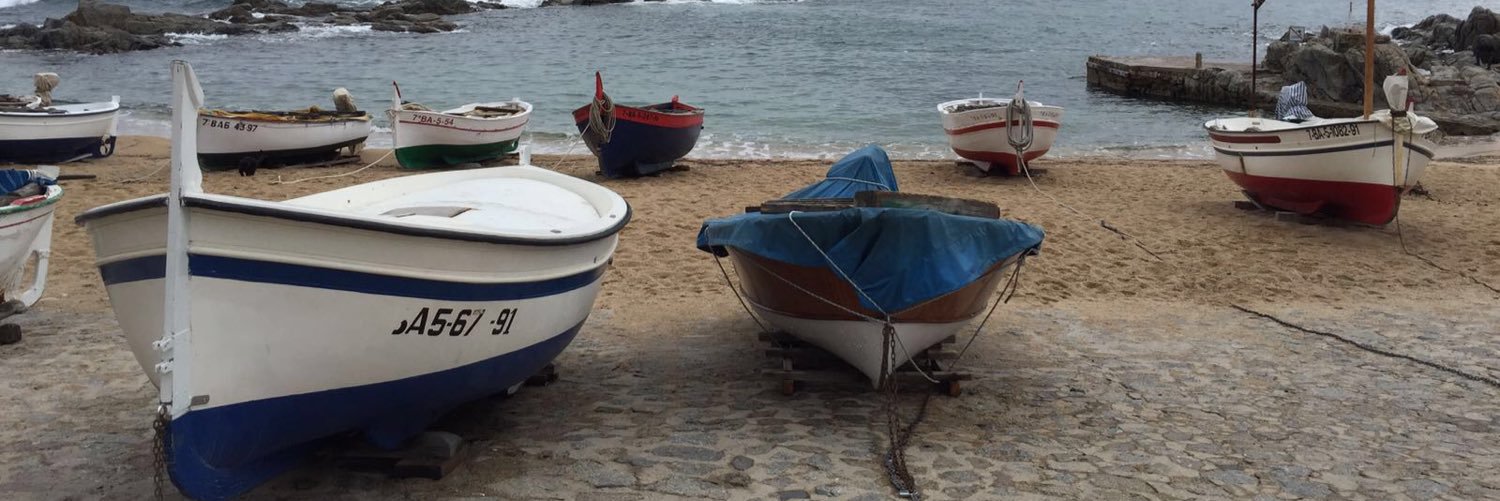 Georgina Ferri banner