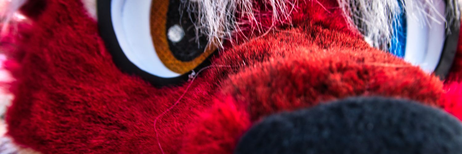 IceColdWulf's profile banner image