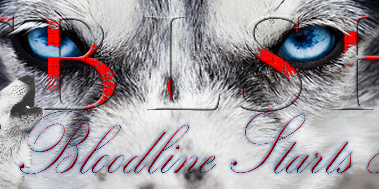 L_52's profile banner image