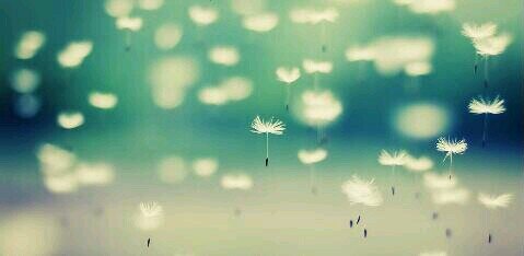 Alisa_TFIOS's profile banner image