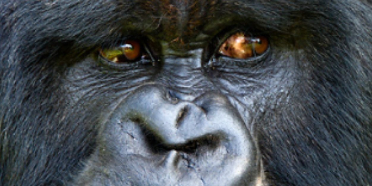 PositiveStress's profile banner image