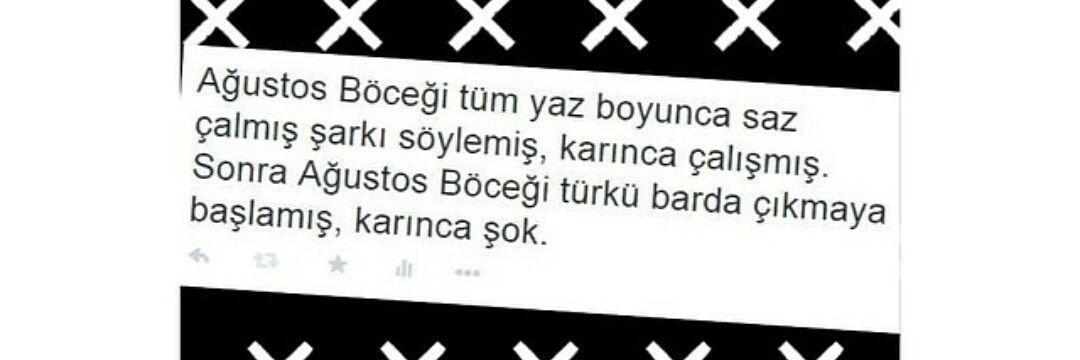 AydoanIlayda's profile banner image