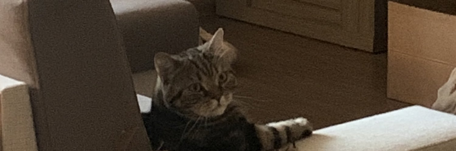 hey_Dem's profile banner image