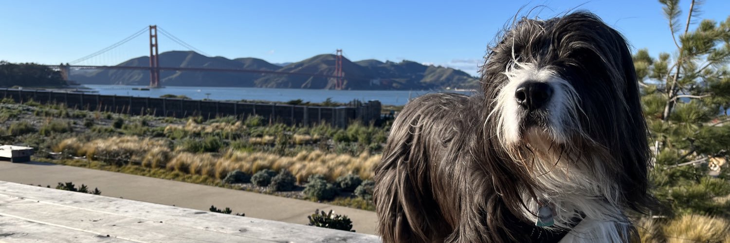 Lindsay Dellas, CPDT-KA banner