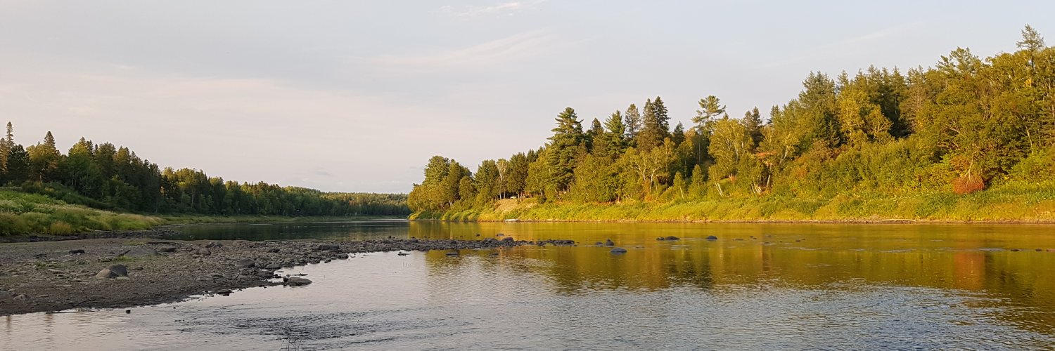 The Miramichi Leader banner