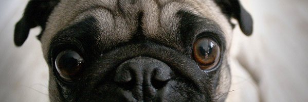 RRittberg's profile banner image