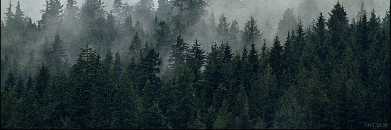 fauzoy's profile banner image