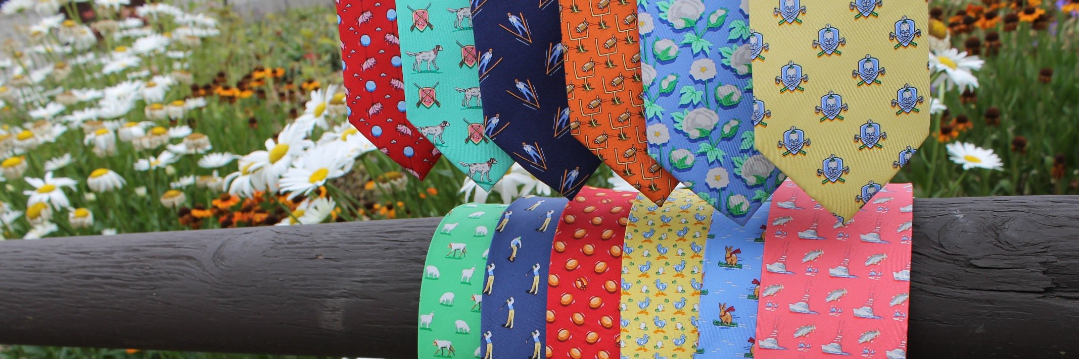 BirdDogBay's profile banner image