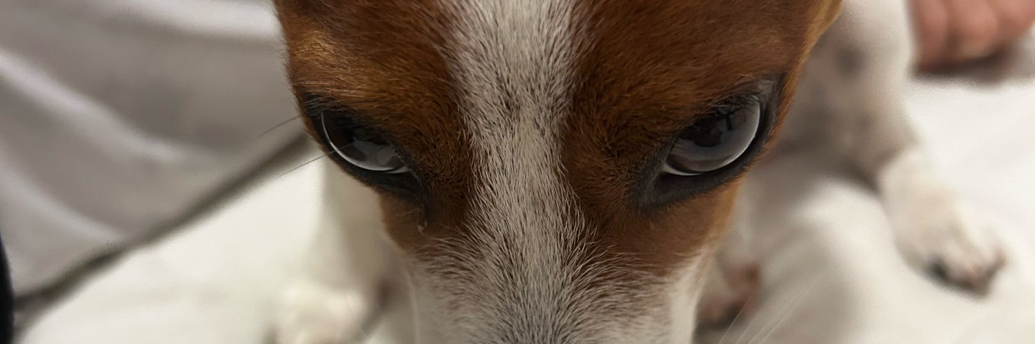 jjugll's profile banner image