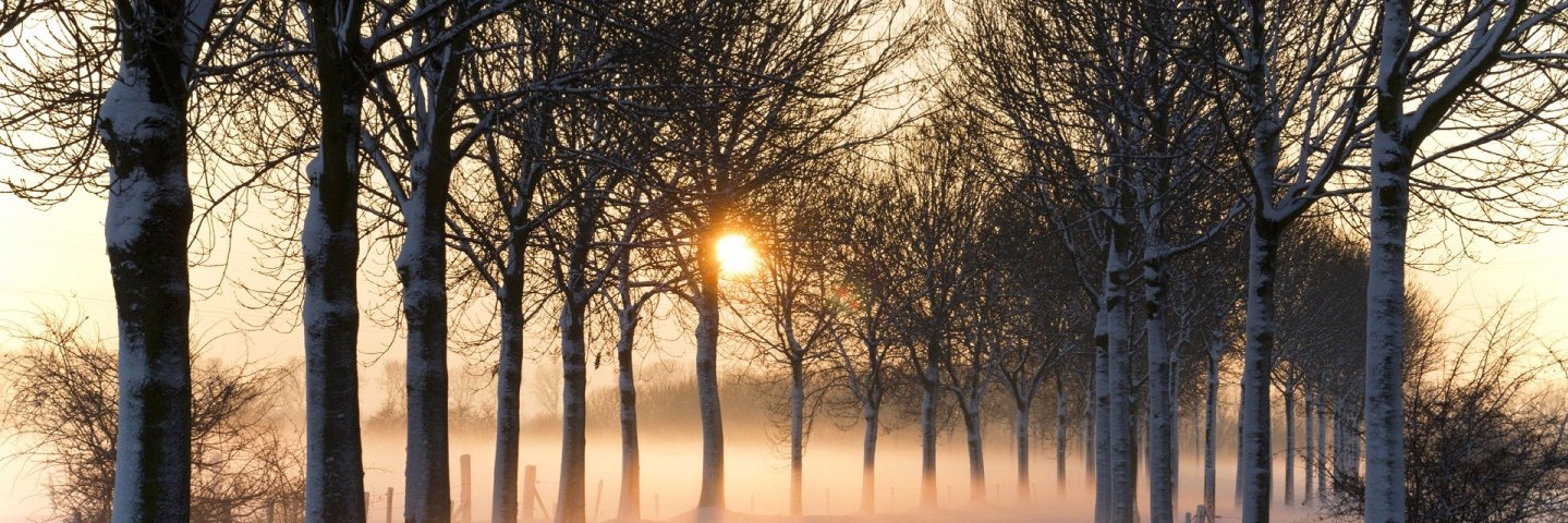 El Corcó Digital banner