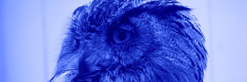 Blue Owl Publishing - Vampire Authors Temple banner