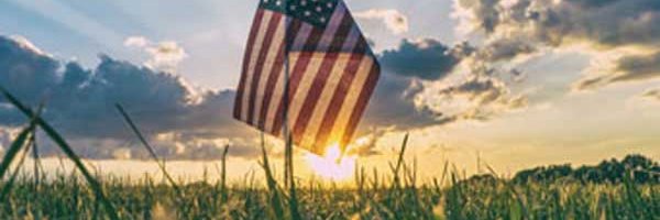 RogersAuction's profile banner image