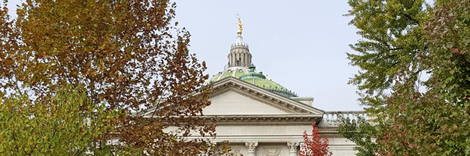 PA House Appropriations (D) Profile Banner