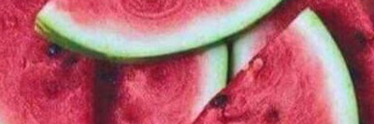 Alejanndrrah's profile banner image
