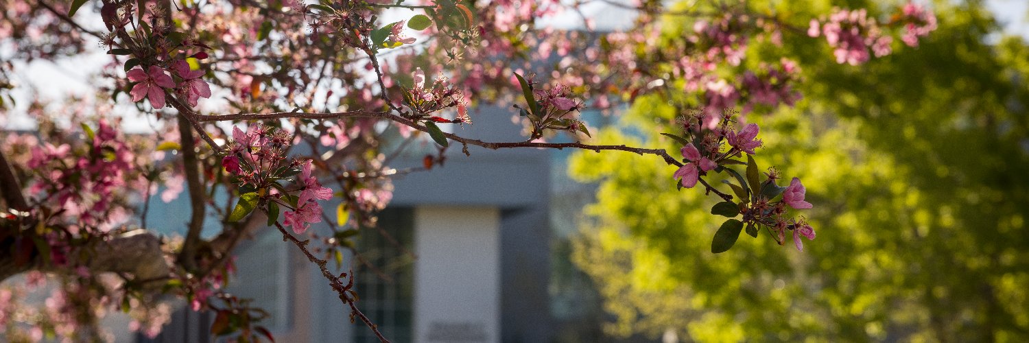 unrmed's profile banner image