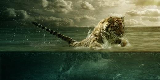 Tiger_sc7's profile banner image