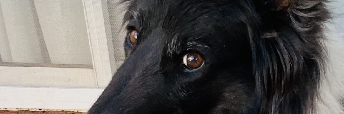 maleserranook's profile banner image