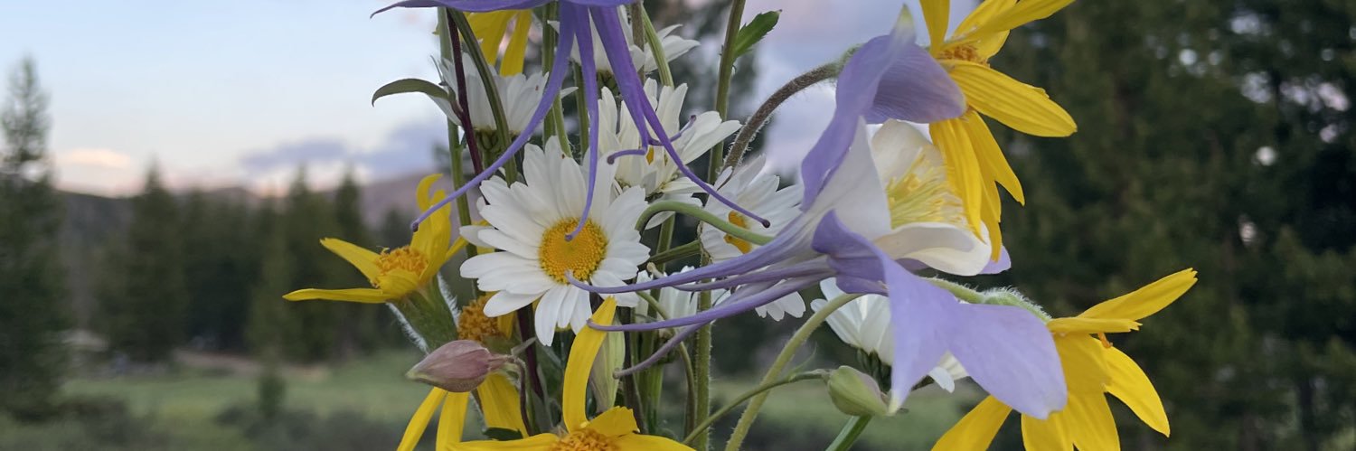 sarahlindner201's profile banner image