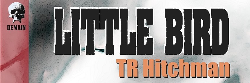 TRHitchman's profile banner image