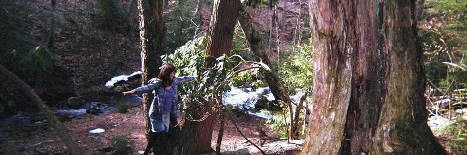RoxyMTodd's profile banner image