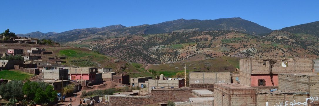 Claire Withycombe banner