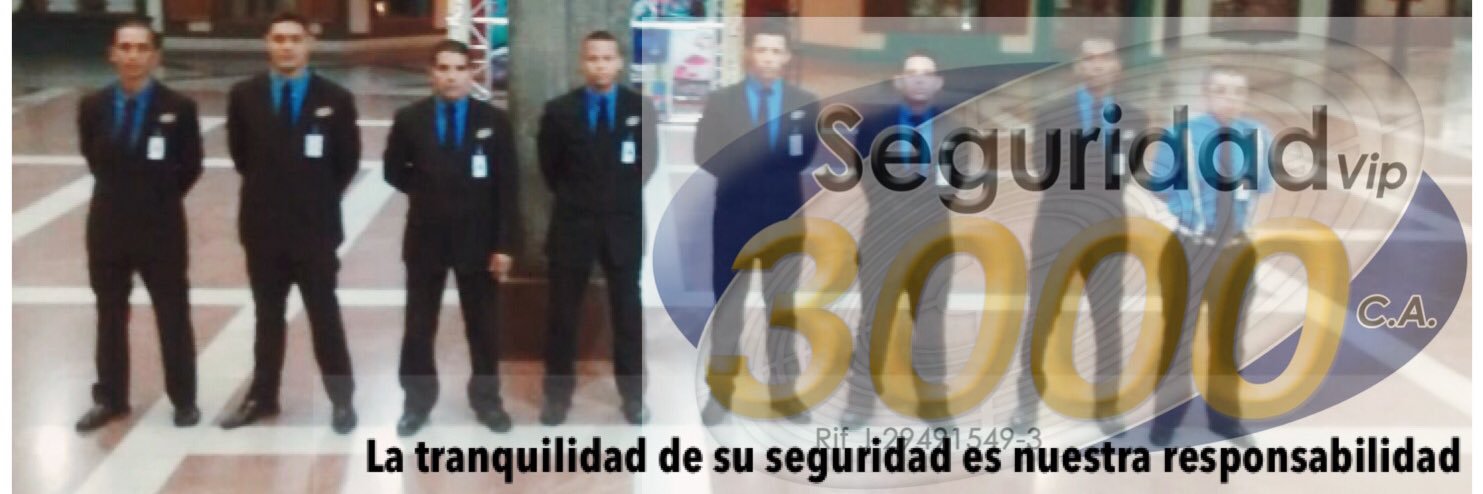 SVIP3000's profile banner image