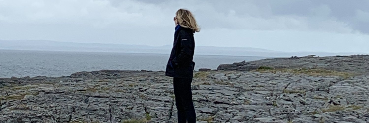 StephShapoff's profile banner image