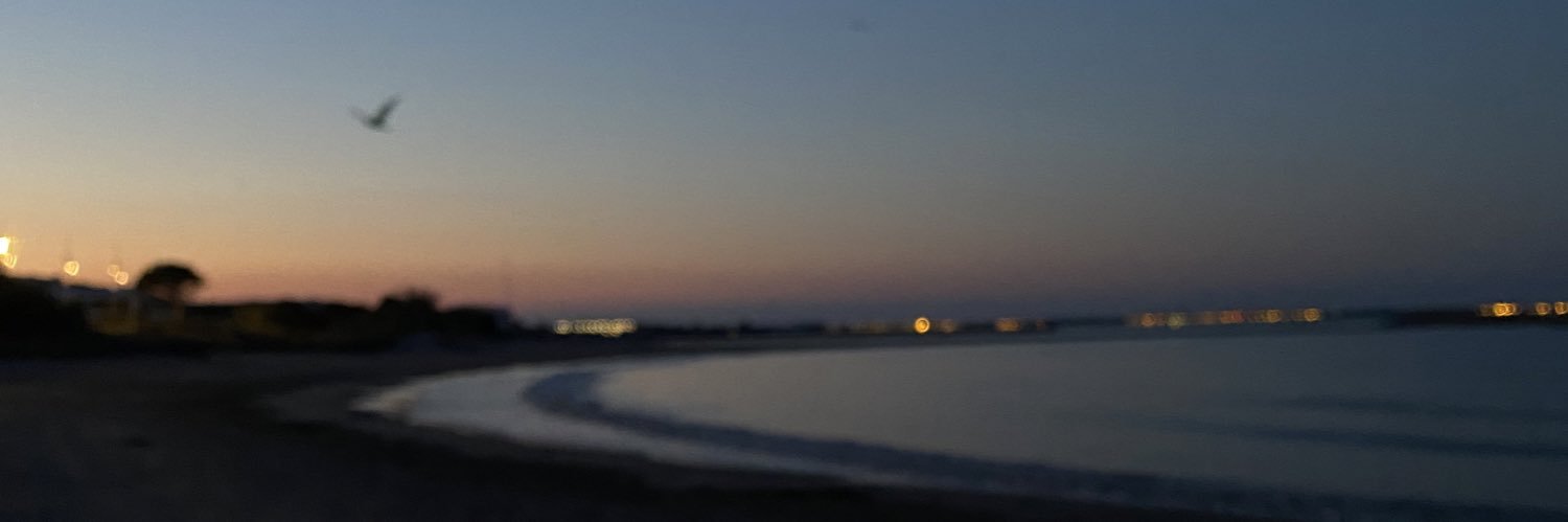 ju_krauser's profile banner image