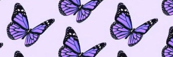 abs_meredith's profile banner image