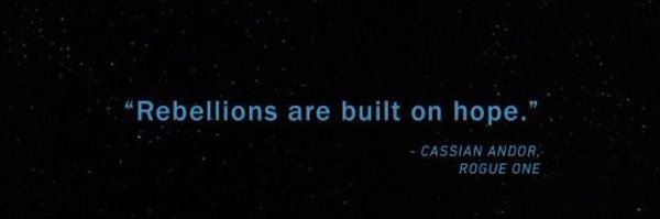 RachelPuckett01 Profile Banner