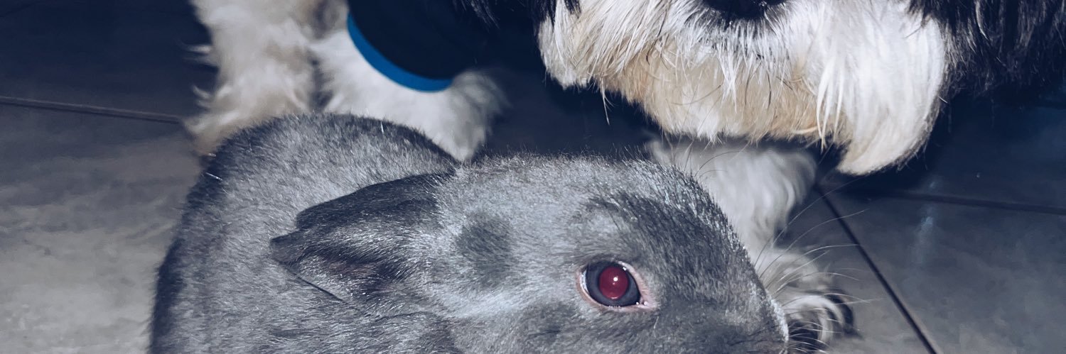 bzflorenciaa's profile banner image