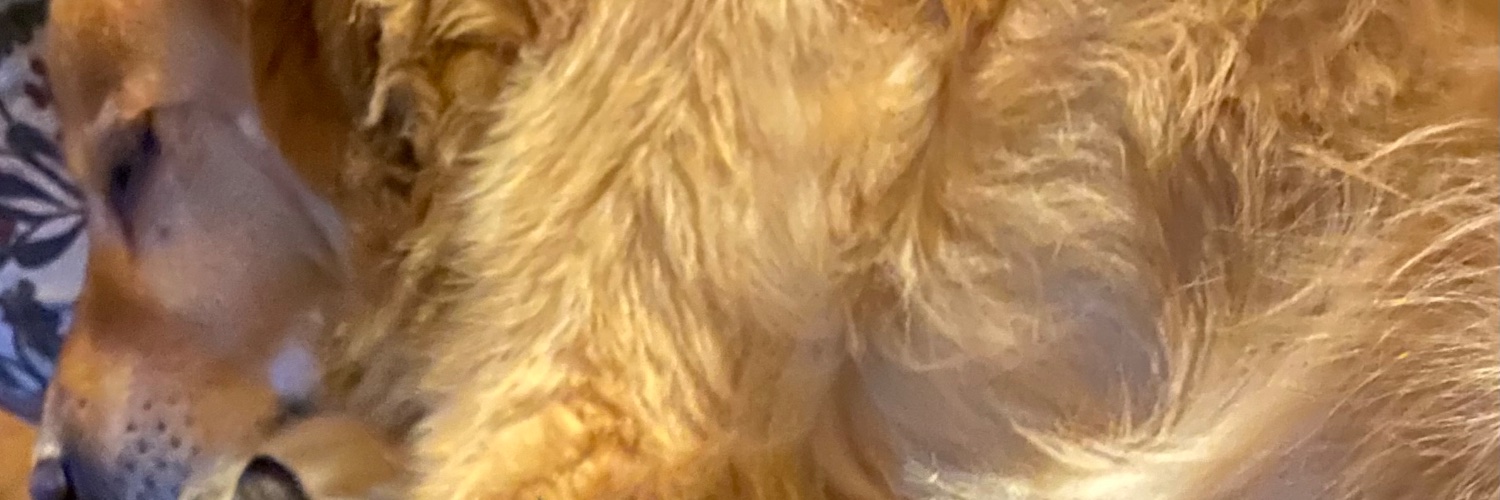 Emer Purcell banner