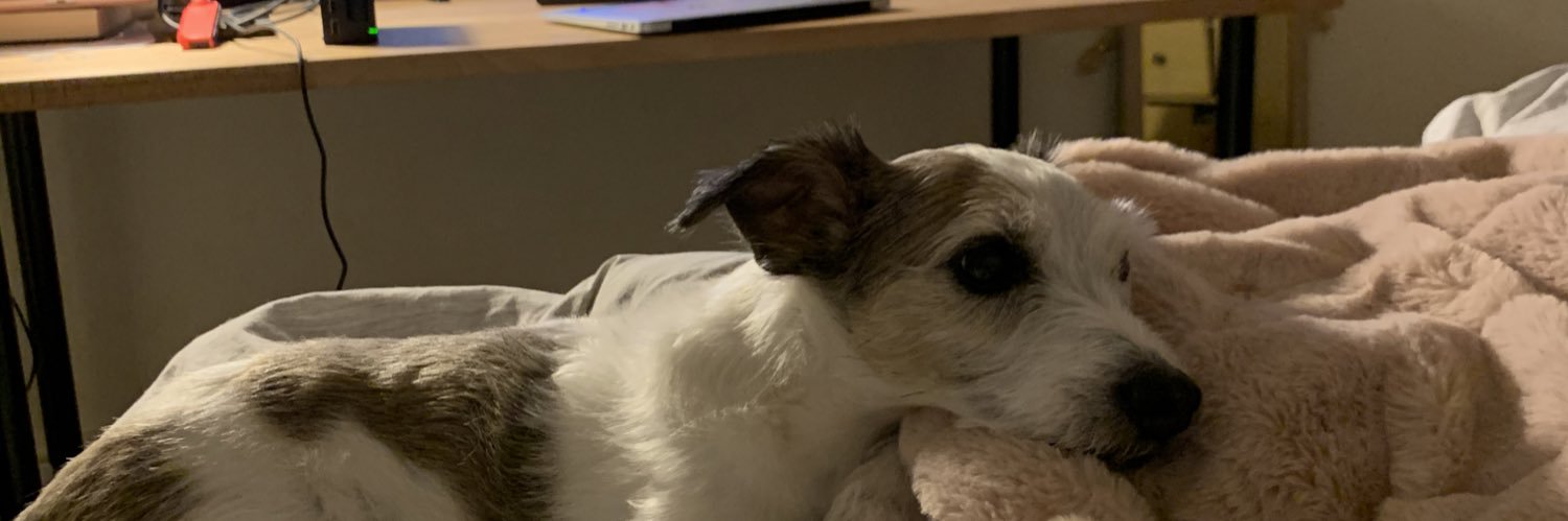 chlo_blo's profile banner image