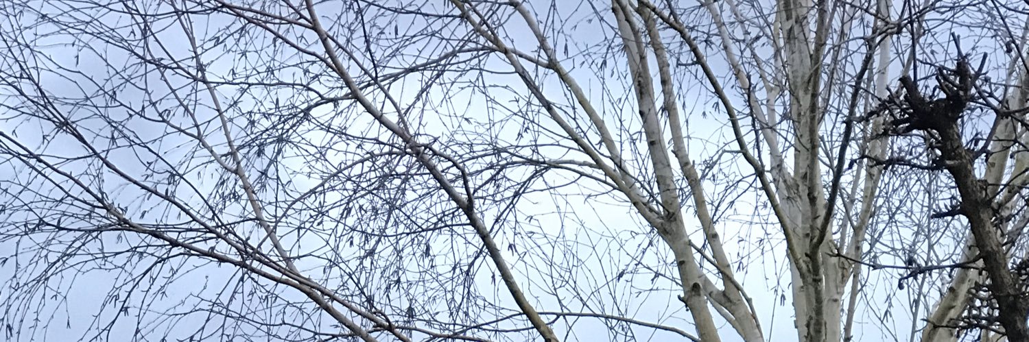 slowdusk's profile banner image