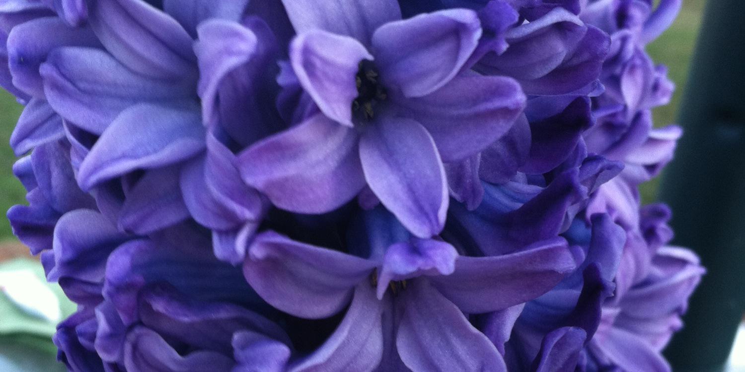 cmbrown76's profile banner image